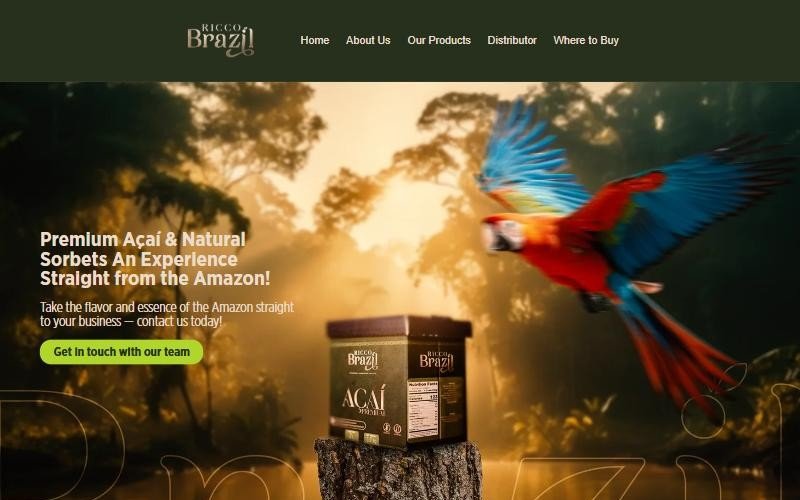 Página inicial do site da Ricco Brazil